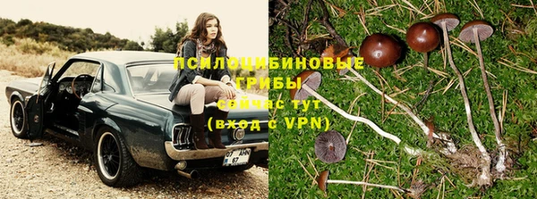 дживик Волосово