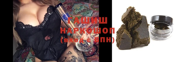 гашик Бородино