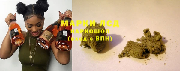 гашик Бородино