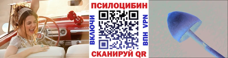 Галлюциногенные грибы Cubensis  Енисейск 